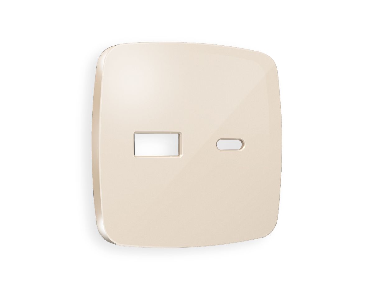 Лицевая панель для розетки 2USB тип A+C Ambrella Volt Omega OP3110 в Санкт-Петербурге
