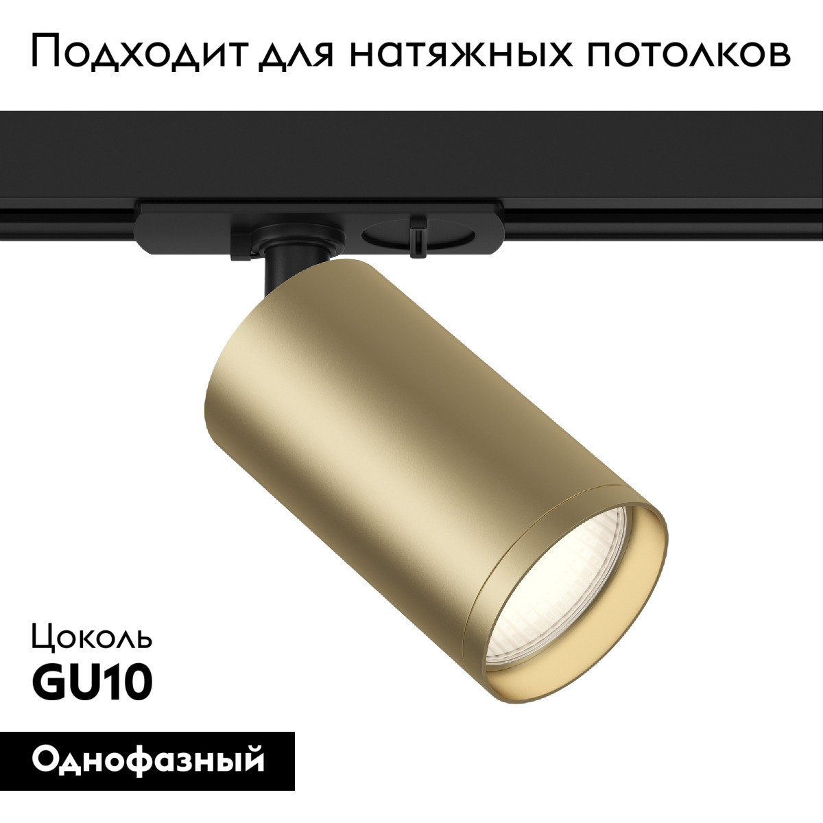 Трековый светильник Maytoni Technical Focus TR020-1-U-GU10-BMG в Санкт-Петербурге