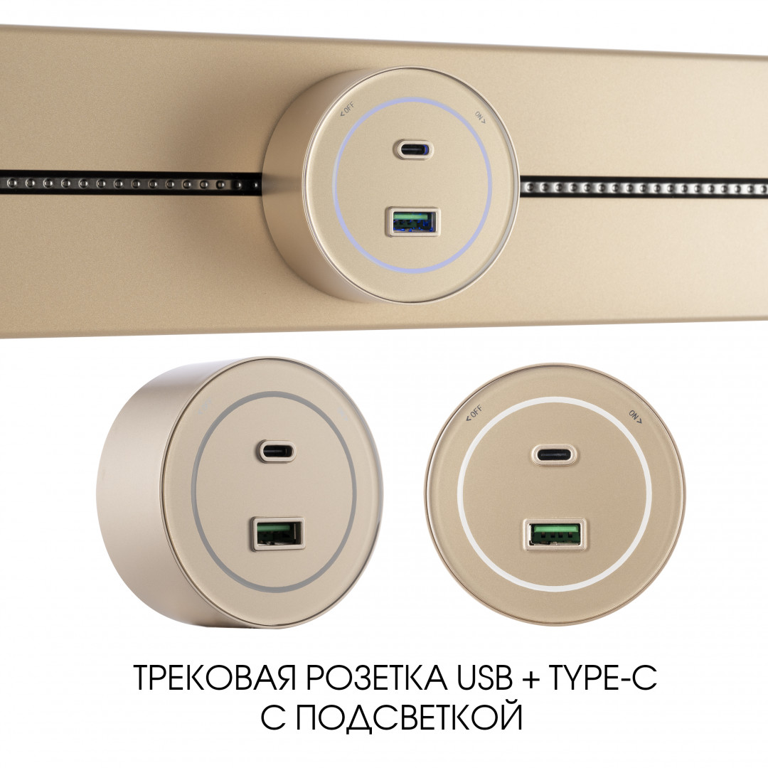Трековая розетка Arte Milano Am-track-sockets-39 399732TS/USB-Type-C Gold в Санкт-Петербурге
