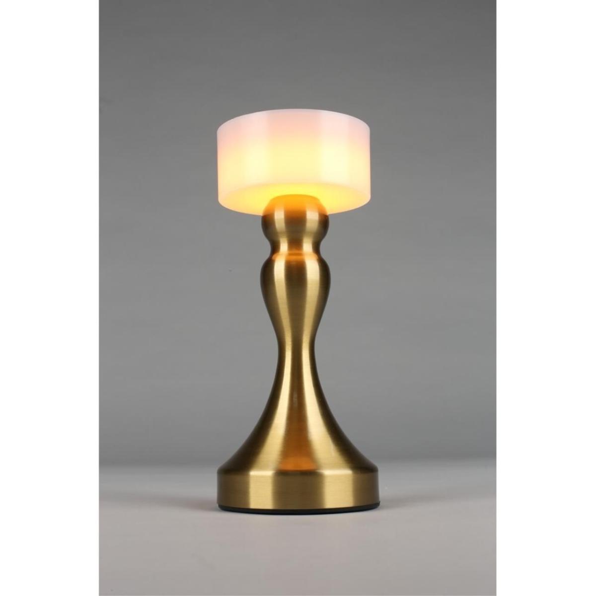 Настольная лампа Omnilux OML-40304-01 в Санкт-Петербурге