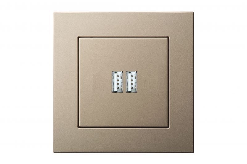 Розетка USB двойная для зарядки умная 5V(3,4А) Liregus Epsilon 28-3242 в Санкт-Петербурге