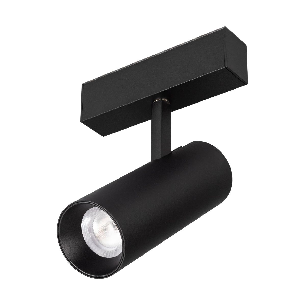 Трековый магнитный светильник Arlight MAG-SPOT-45-R65-18W Warm3000 (BK, 36 deg, 24V, DALI) 046595 в Санкт-Петербурге