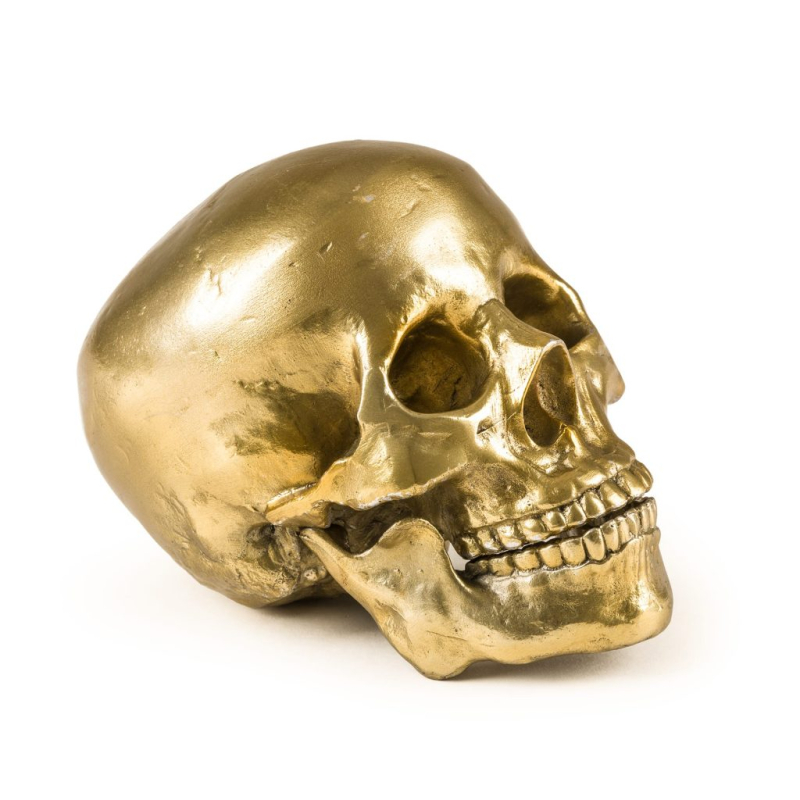 Статуэтка Human Skull Seletti Wunderkammer 10891 в Санкт-Петербурге