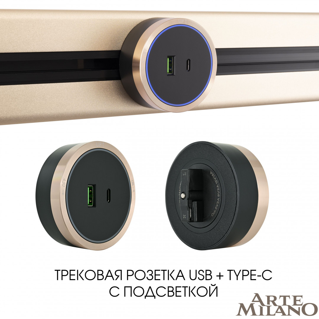 Трековая розетка Arte Milano Am-track-sockets 380066TS LED/USB-Type-C Gold в Санкт-Петербурге