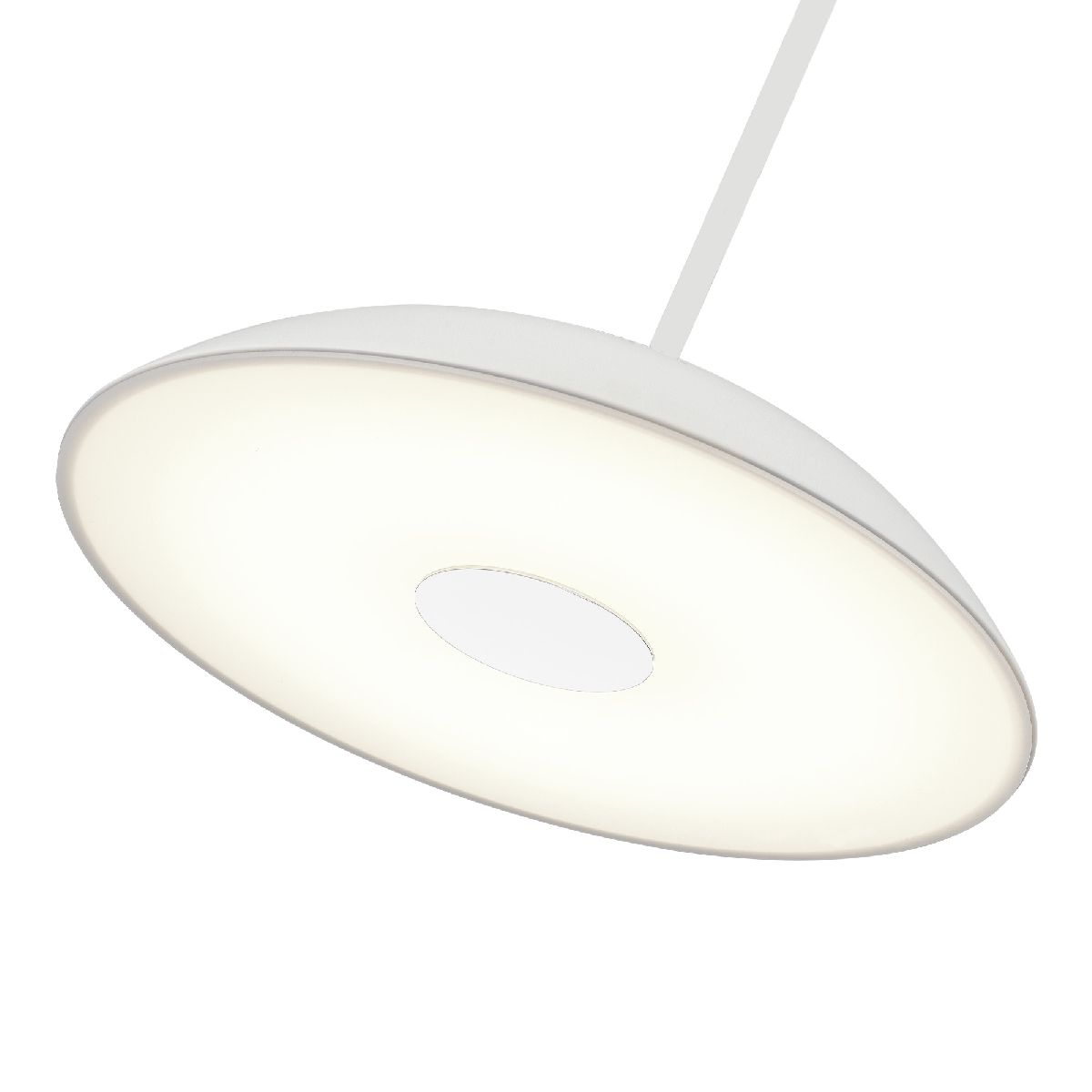 Подвесной светильник ST Luce Lid SL6128.503.01 в Санкт-Петербурге