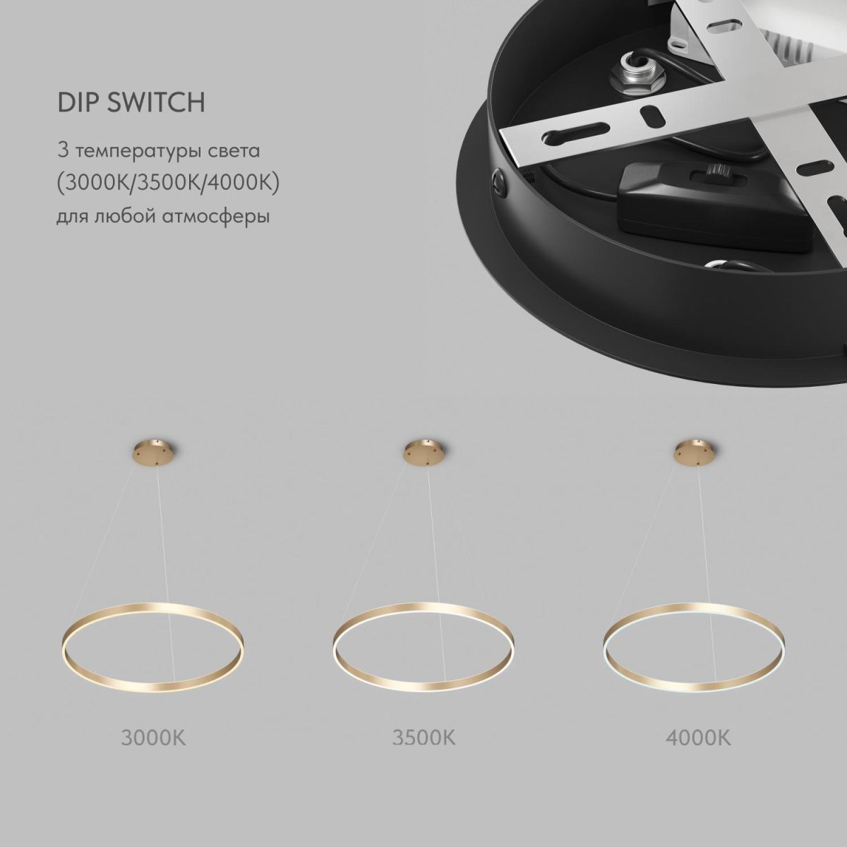 Подвесной светильник Denkirs Raydia DK6273-SG в #REGION_NAME_DECLINE_PP#