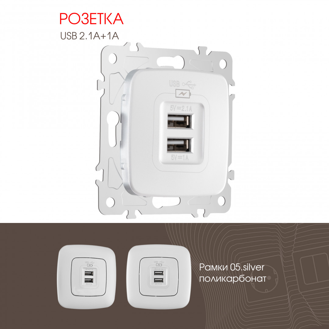 Розетка USB 2.1А+1А Arte Milano 205.46-1.silver в Санкт-Петербурге