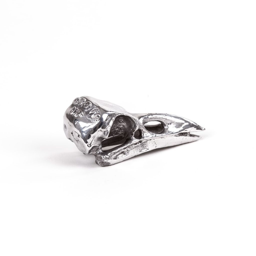 Статуэтка Bird Skull Seletti Wunderkammer 10895 в Санкт-Петербурге