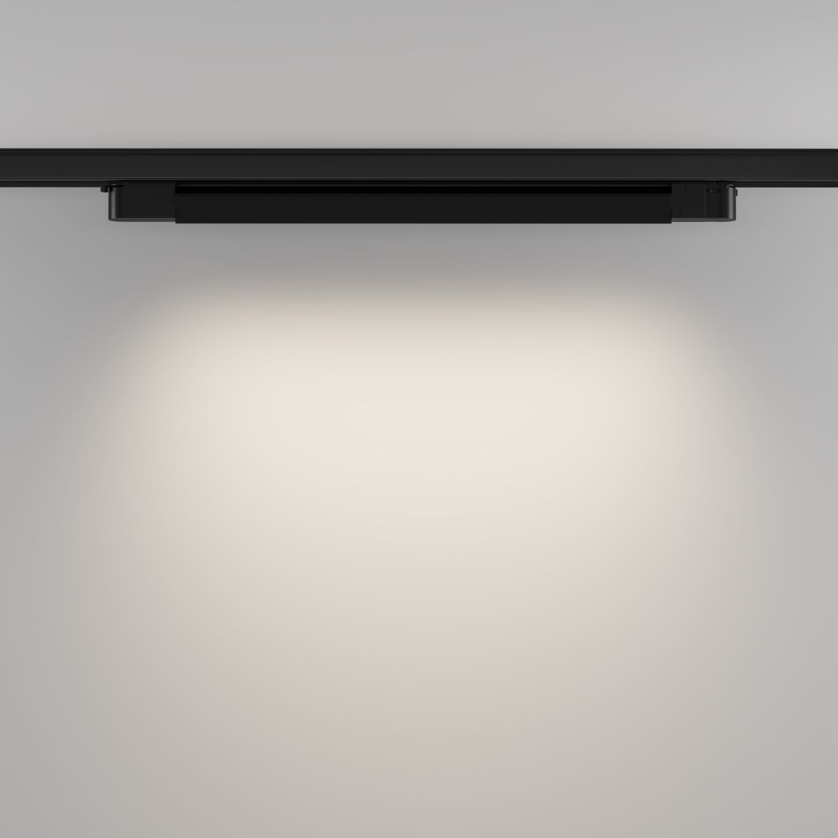 Трековый трехфазный светильник Maytoni Technical Basis TR196-3-20W4K-B(N) в Санкт-Петербурге