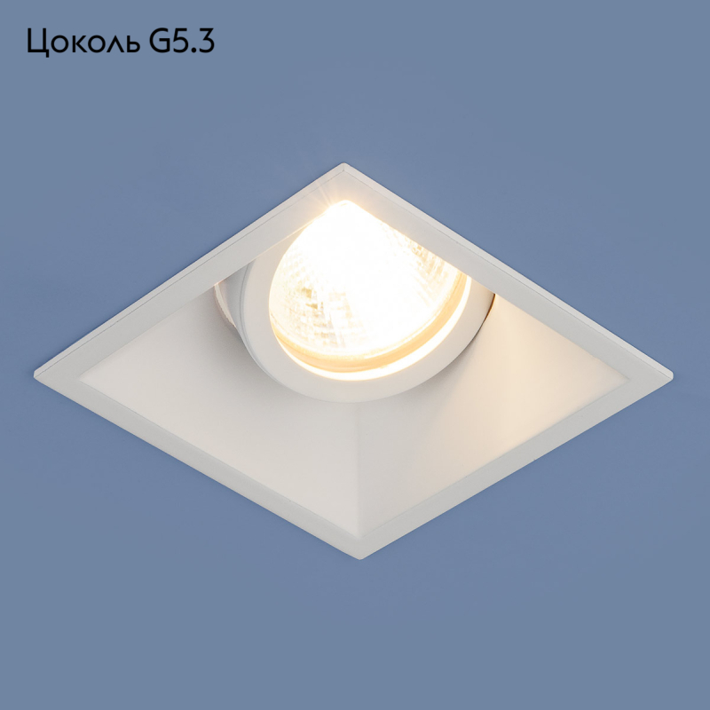 Встраиваемый светильник Elektrostandard 6070 MR16 WH белый 4690389097997 в Санкт-Петербурге