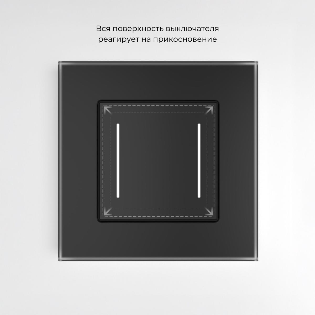 Умный сенсорный выключатель двухклавишный Werkel 4690389197963 W4523008 a064142 в Санкт-Петербурге