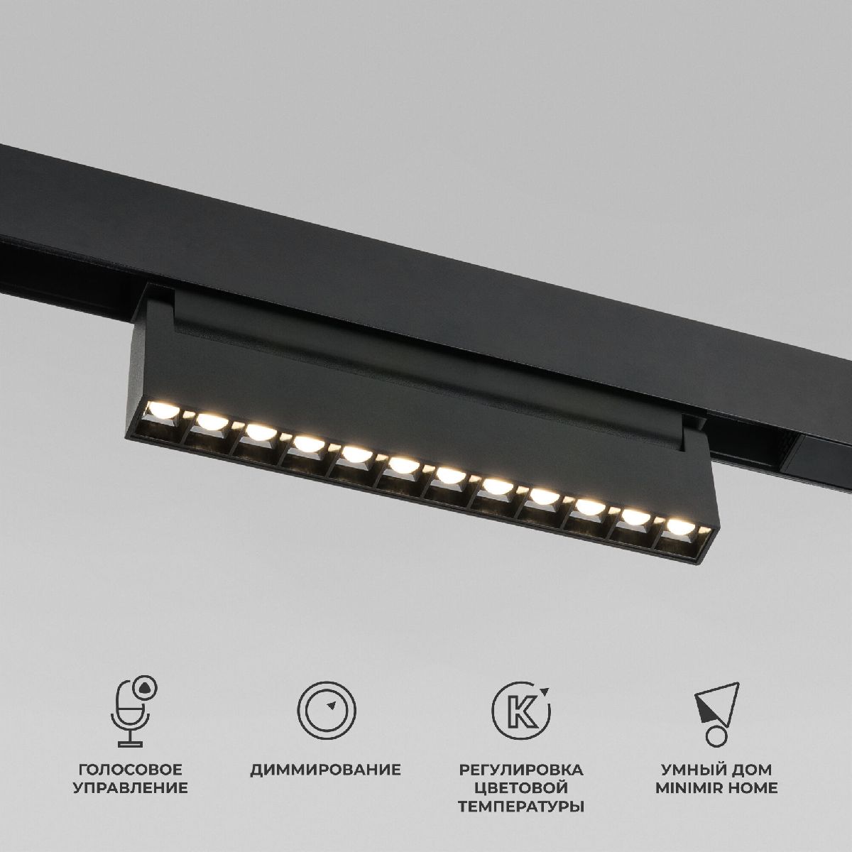 Трековый магнитный светильник Elektrostandard Slim Magnetic 4690389204791 85195/01 a066587 в Санкт-Петербурге