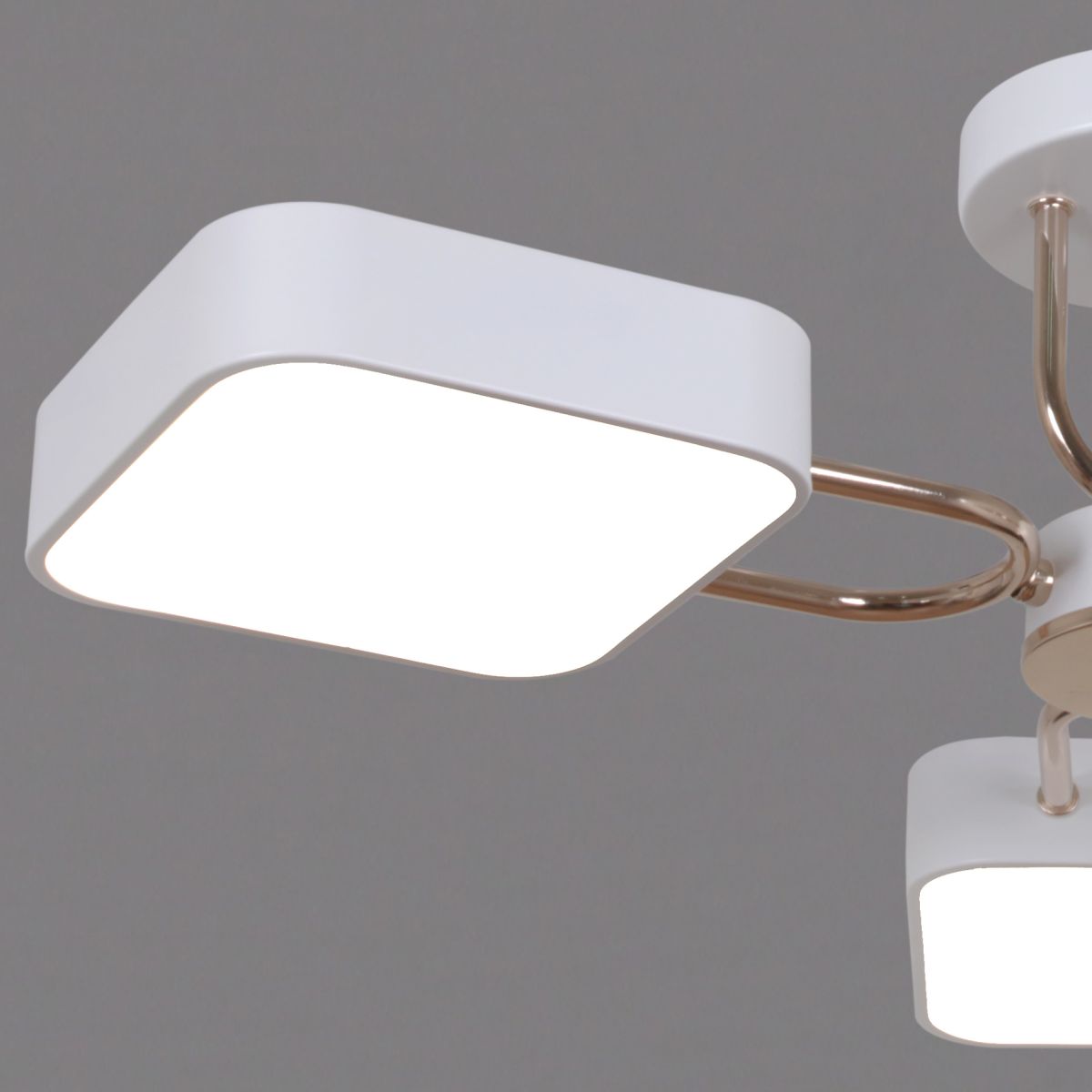 Потолочная люстра Reluce 03362-0.3-05 WH+FGD в Санкт-Петербурге