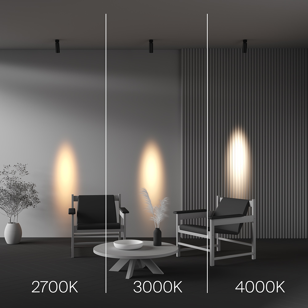 Спот Maytoni Technical Focus Led C055CL-L12W2.7K-SS-B в Санкт-Петербурге