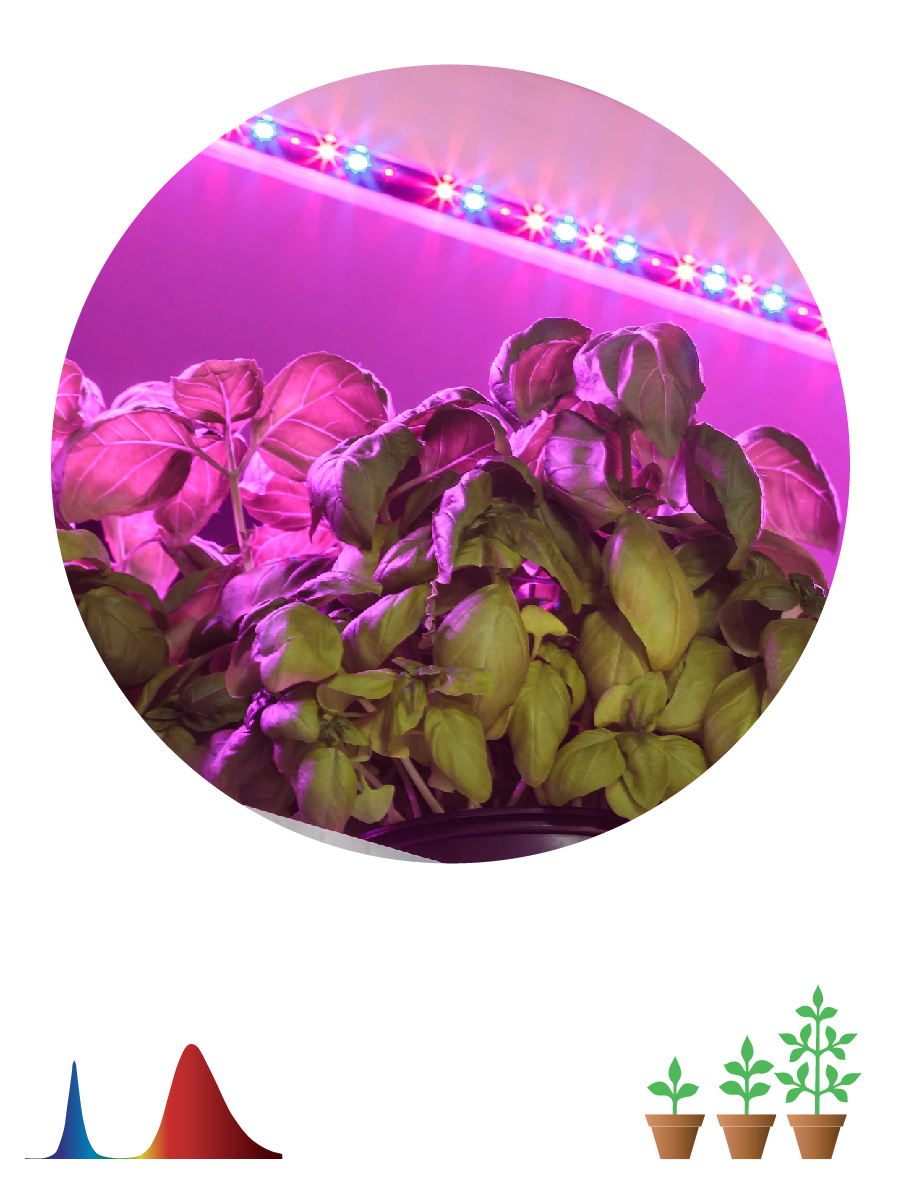 Светодиодная лента для растений Эра 18Вт 1400K 2м IP65 FITO-Strip Light-RB-2m красно-синего спектра Б0057282 в Санкт-Петербурге
