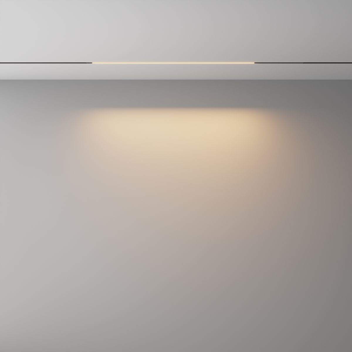 Трековый магнитный светильник Maytoni Technical Basis Exility X TR240-4-12WTW-DD2-B в Санкт-Петербурге