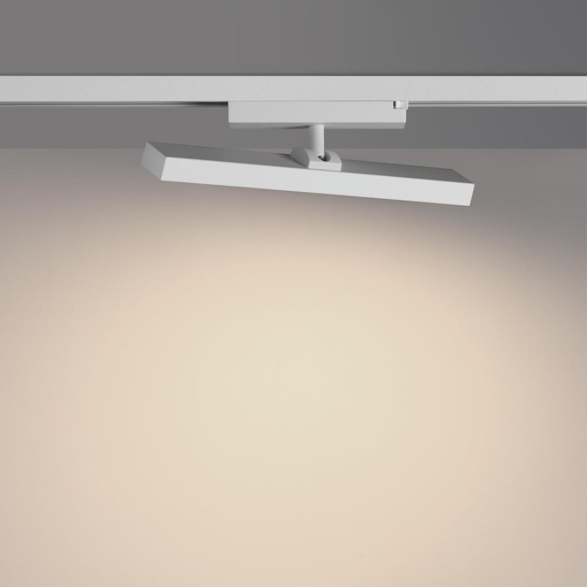 Трековый однофазный светильник с переключателем цв. температуры Novotech Port Stratus 359781 в Санкт-Петербурге