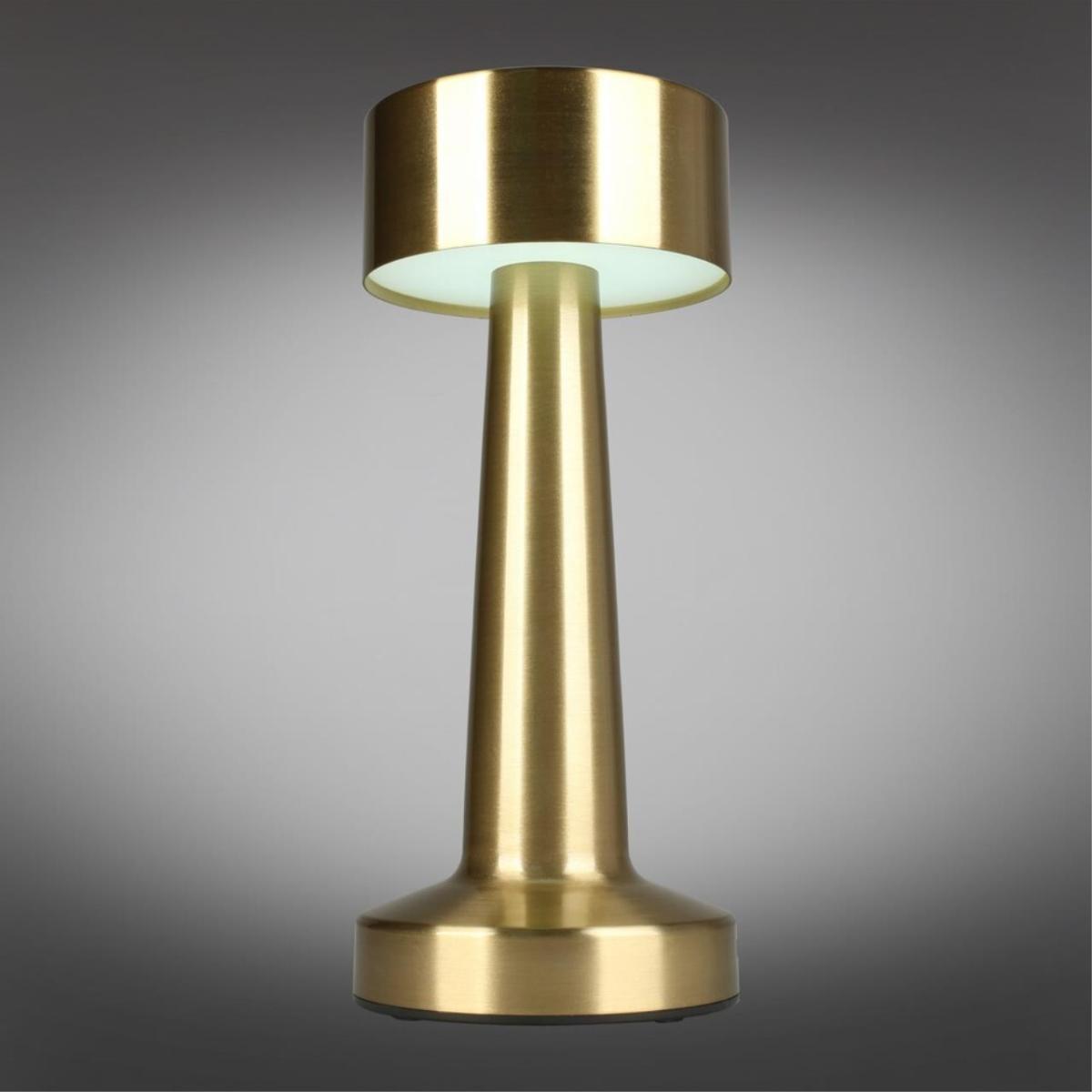 Настольная лампа Aployt Perrayn APL.671.04.01 в #REGION_NAME_DECLINE_PP#