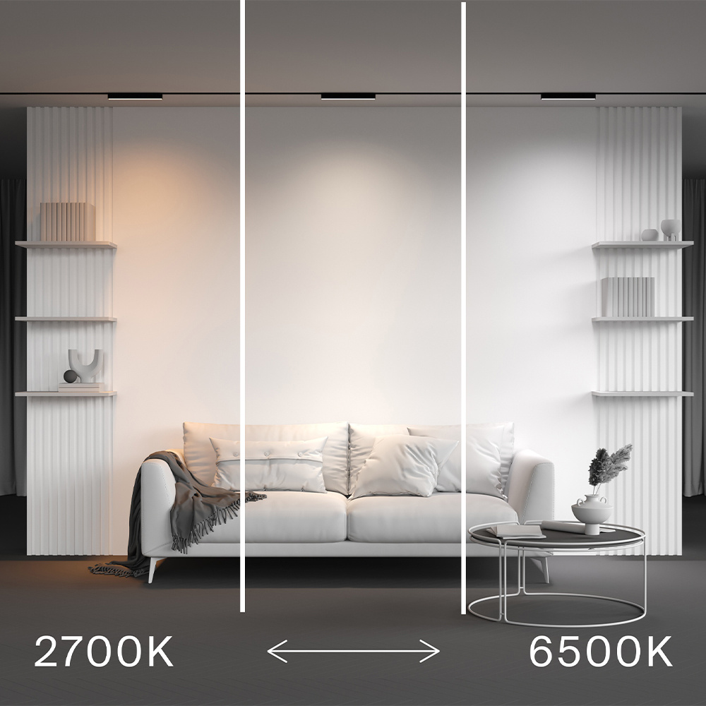 Трековый магнитный светильник Maytoni Technical Basis Radity TR080-4-10WTW-B в Санкт-Петербурге