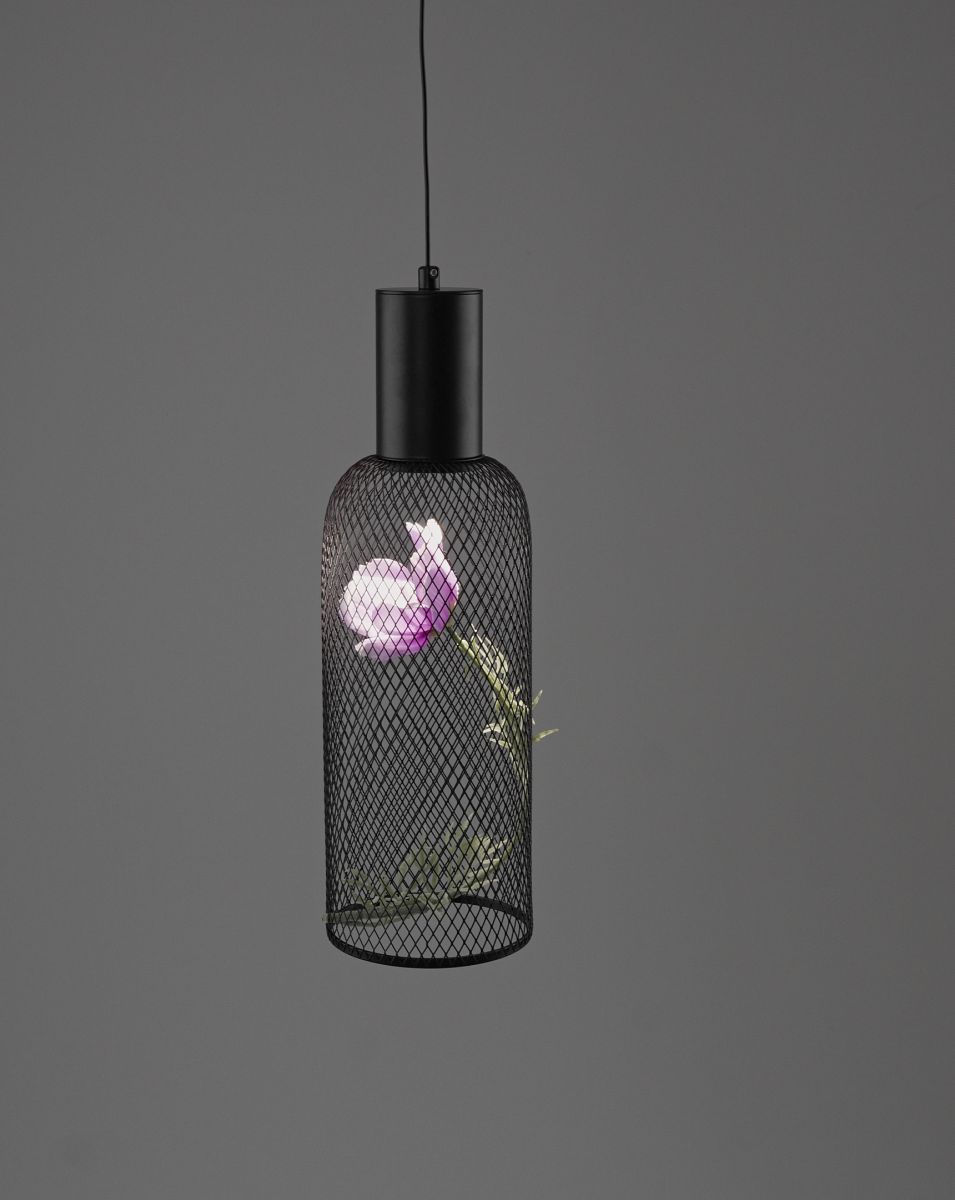 Подвесной светильник Moderli Ophelia V11873-PL в #REGION_NAME_DECLINE_PP#