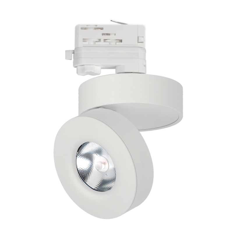 Трековый светильник Arlight LGD-Mona-Track-4TR-R100-12W Warm3000 025448(2) в Санкт-Петербурге