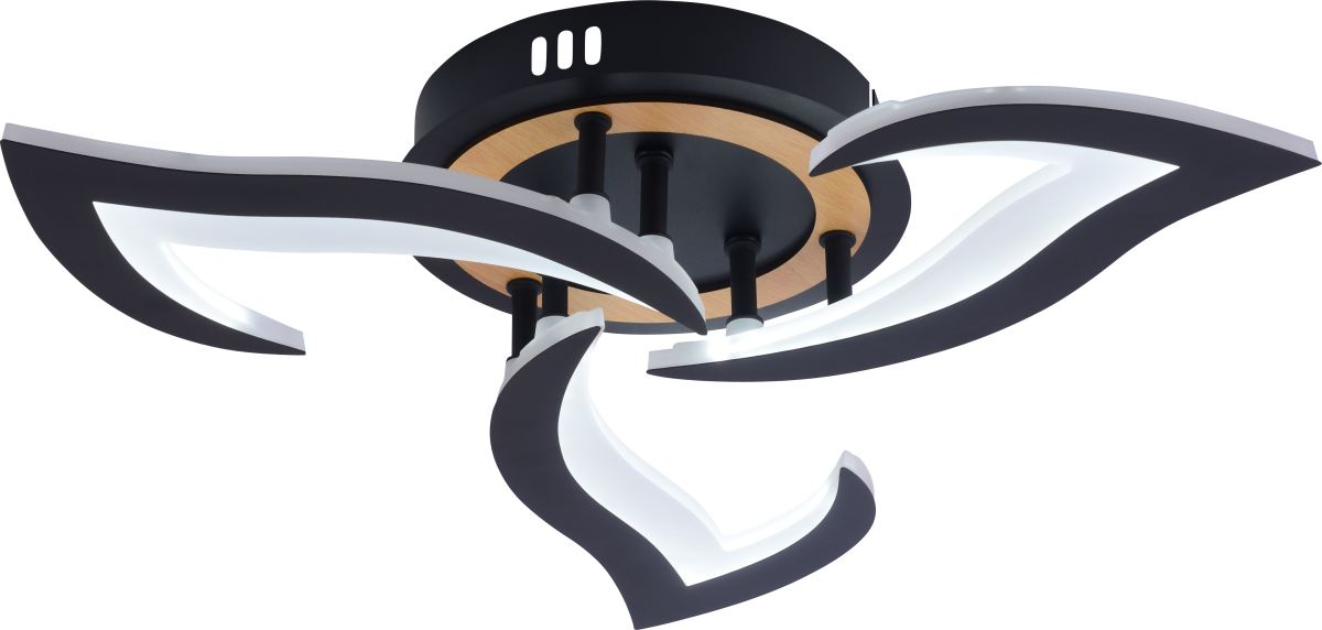 Потолочный светильник Rivoli Cassandra 6194-703 Б0070140 в #REGION_NAME_DECLINE_PP#