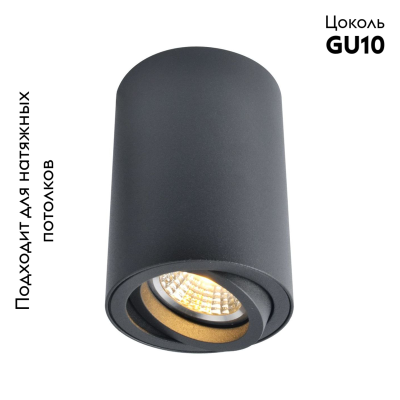 Потолочный светильник Arte Lamp A1560PL-1BK в Санкт-Петербурге