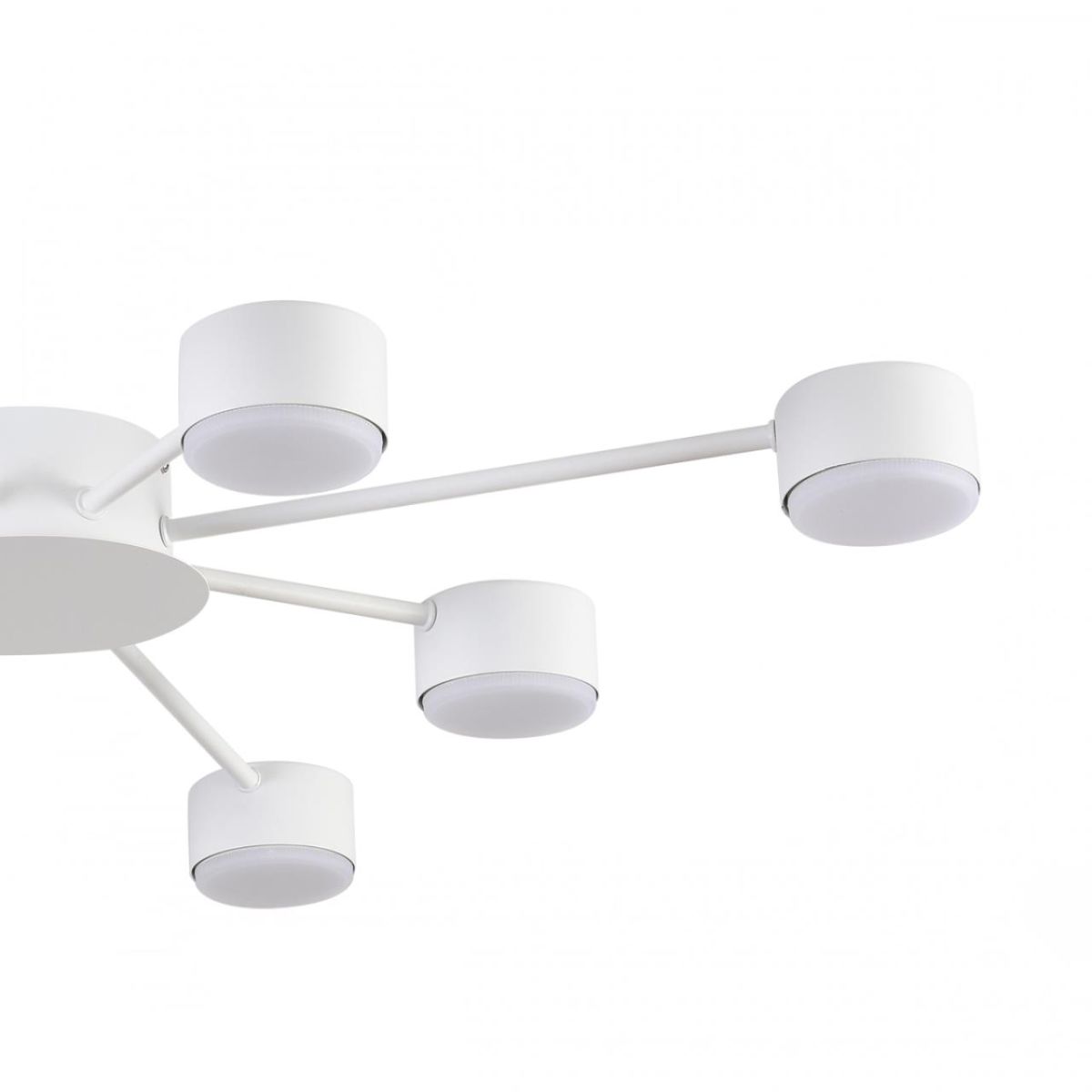 Потолочная люстра Lumion Comfi Torina 8343/8C в Санкт-Петербурге