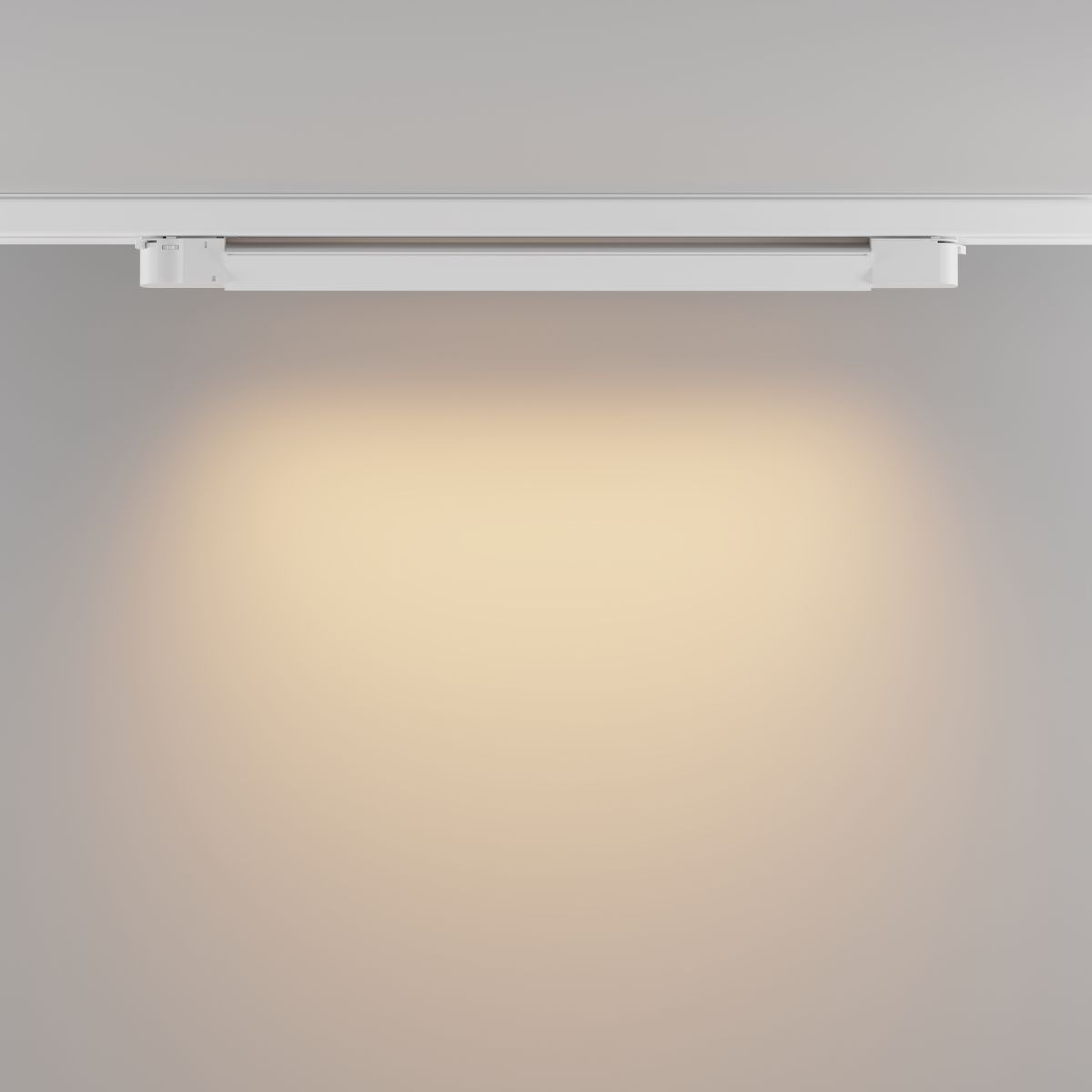 Трековый трехфазный светильник Maytoni Technical Basis TR196-3-20W2.7K-W(N) в Санкт-Петербурге