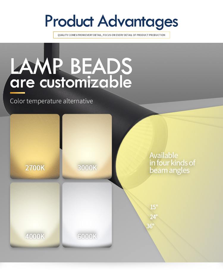 Трековый светильник SWG TL3P-BL-10-WW 008844 в Санкт-Петербурге