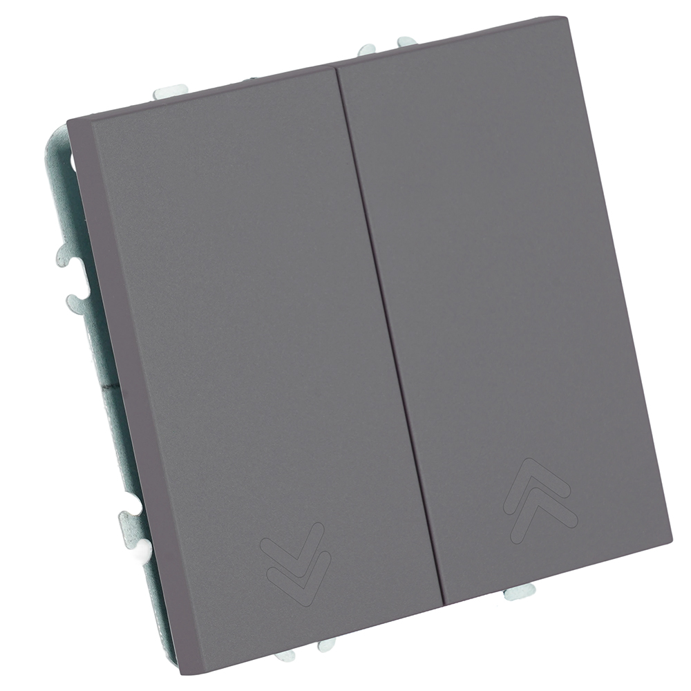Выключатель двухклавишный Stekker Эмили RSW10-5116-10 платиново-серый soft touch 50823 в Санкт-Петербурге