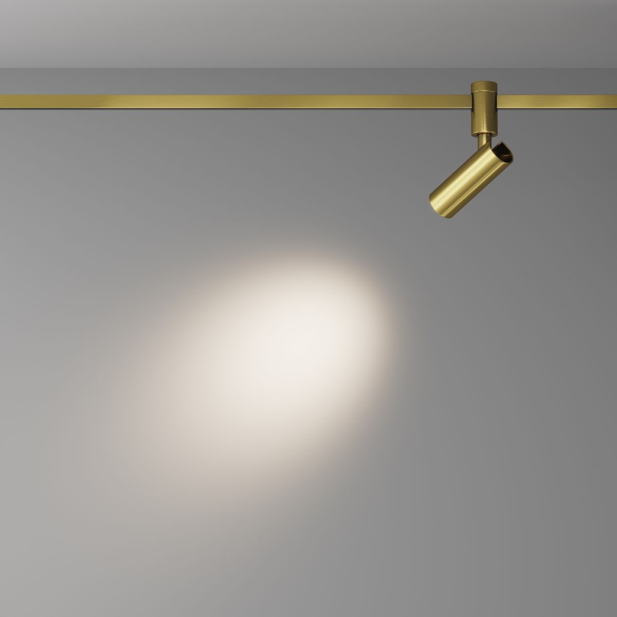 Трековый магнитный светильник Maytoni FOCUS LED TR144-1-12W3K-W-BS в Санкт-Петербурге