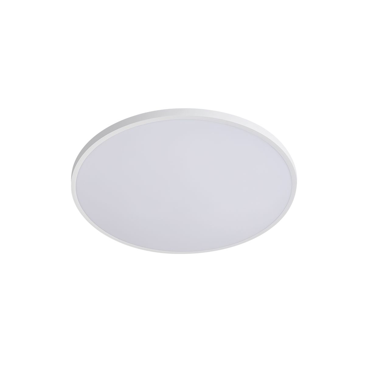 Настенно-потолочный светильник Lightstar Arco Eco 225720 в Санкт-Петербурге