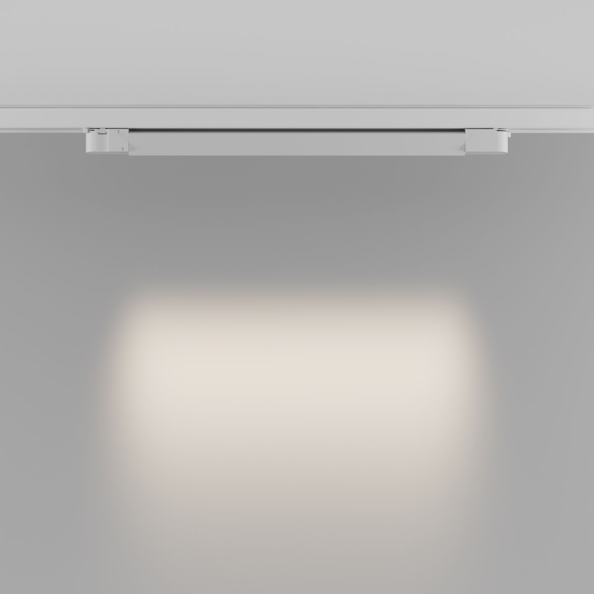 Трековый трехфазный светильник Maytoni Technical Points TR195-3-20W4K-M-W(N) в Санкт-Петербурге