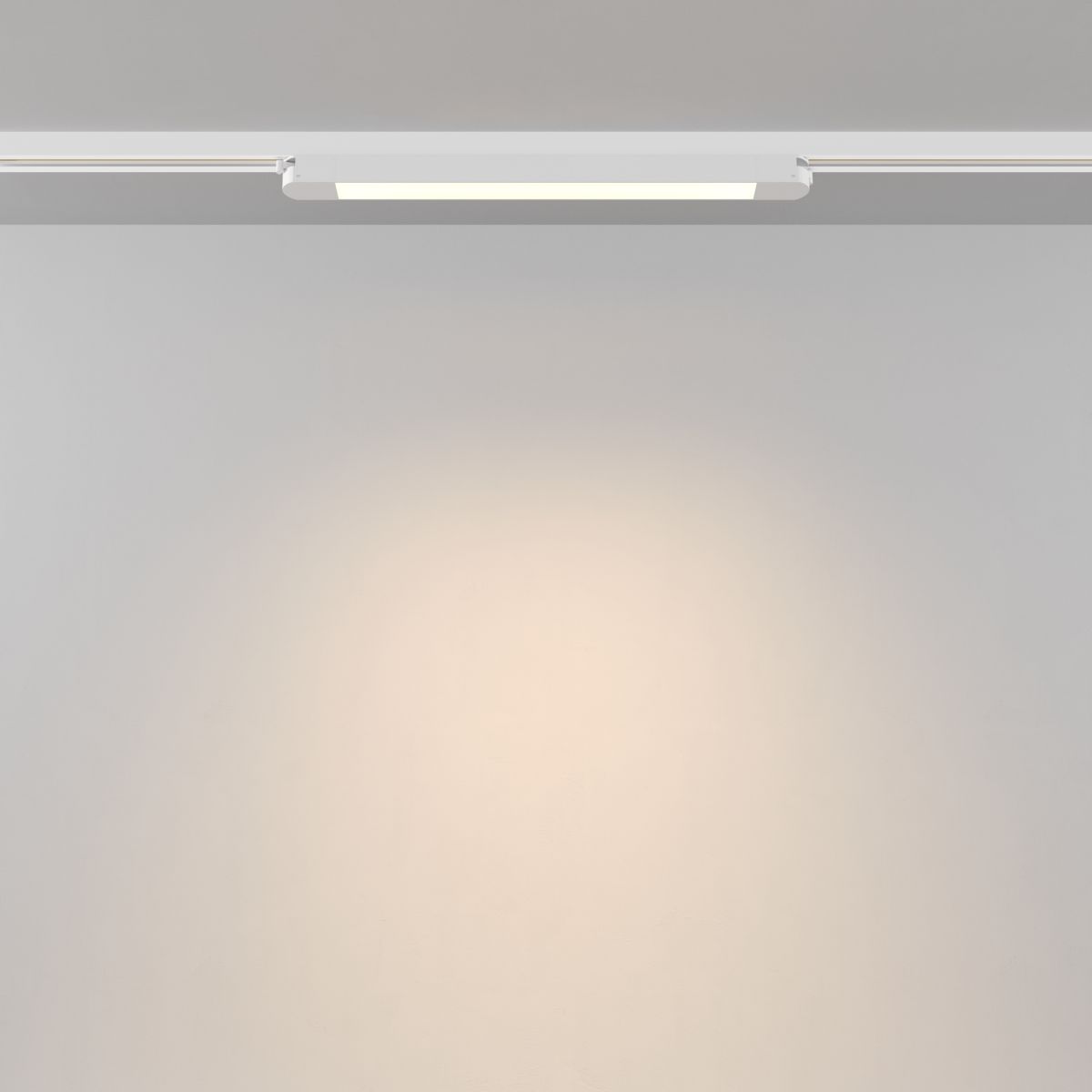 Трековый однофазный светильник Maytoni Technical Basis TR000-1-12W3K-W_1 в #REGION_NAME_DECLINE_PP#