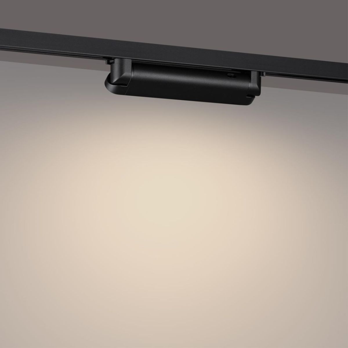 Трековый однофазный трехжильный светильник с переключателем цветовой температуры Novotech Port Iter 359795 в Санкт-Петербурге