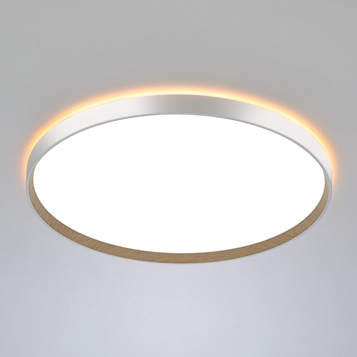 Накладной светильник Citilux Etalon CL750500R в Санкт-Петербурге