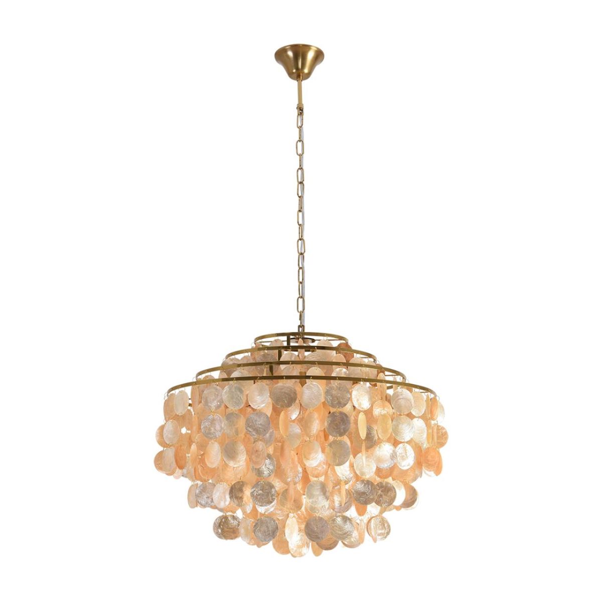 Подвесная люстра Lumion Moderni Shella 8386/6 в Санкт-Петербурге