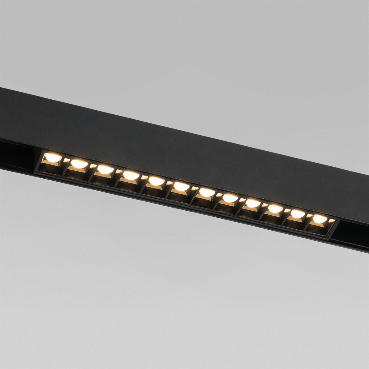 Трековый магнитный светильник Elektrostandard Slim Magnetic 4690389206474 85005/01 a067376 в Санкт-Петербурге