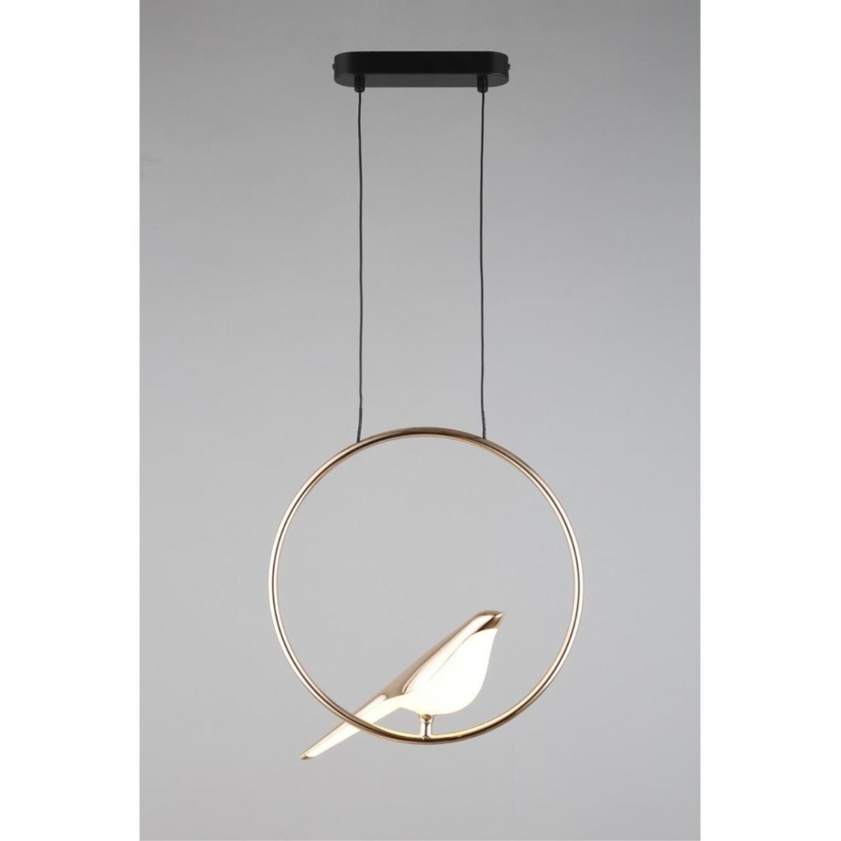 Подвесной светодиодный светильник Aployt Astor APL.822.06.10 в Санкт-Петербурге