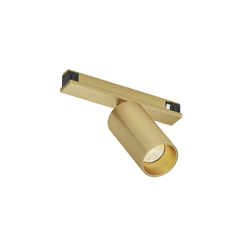 Трековый магнитный светильник Denkirs Shine Spot Zigbee DK5940-SB в Санкт-Петербурге