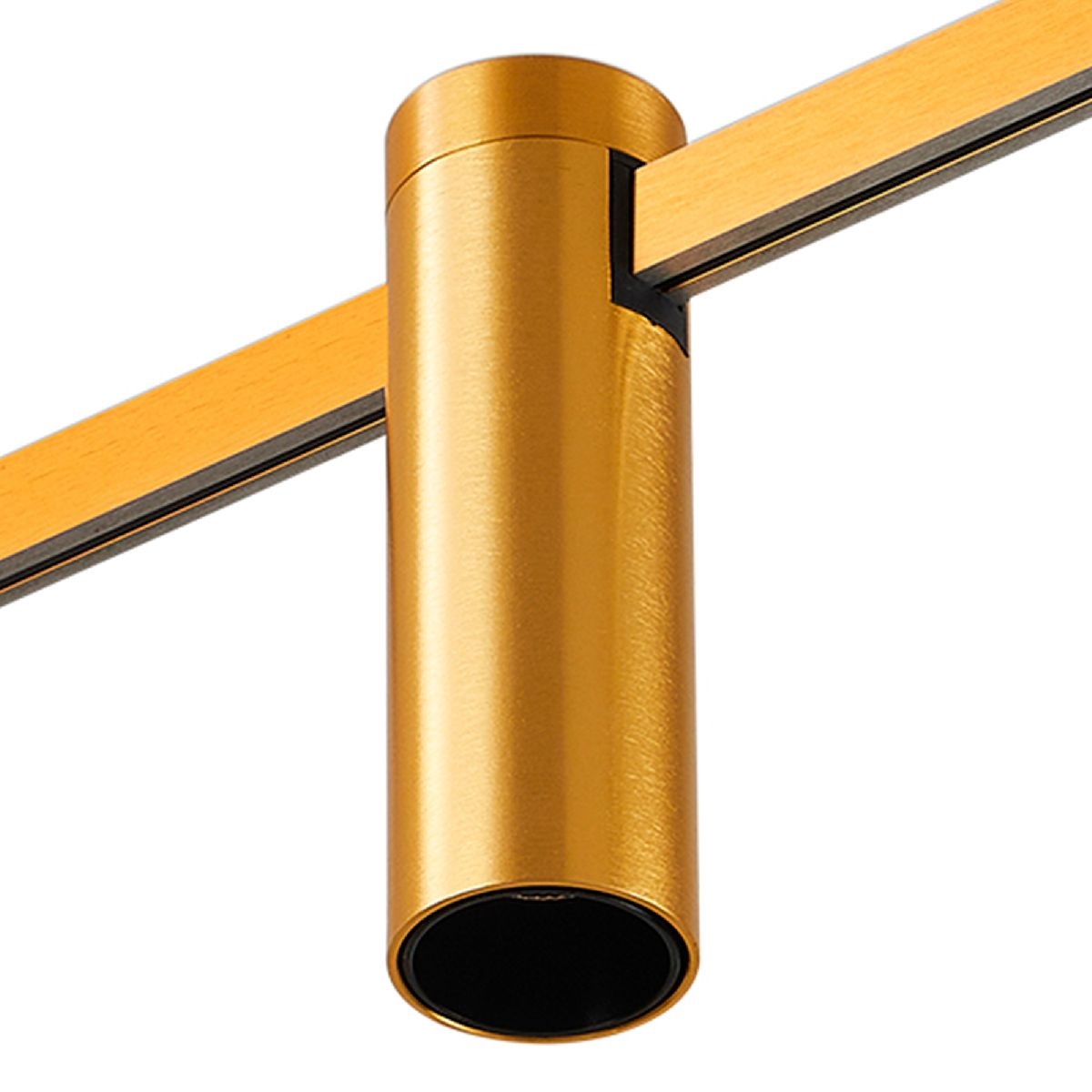 Магнитный трековый светильник ST Luce Farm ST810.246.05 в Санкт-Петербурге