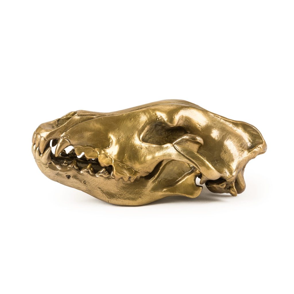 Статуэтка Wolf Skull Seletti Wunderkammer 10892 в Санкт-Петербурге