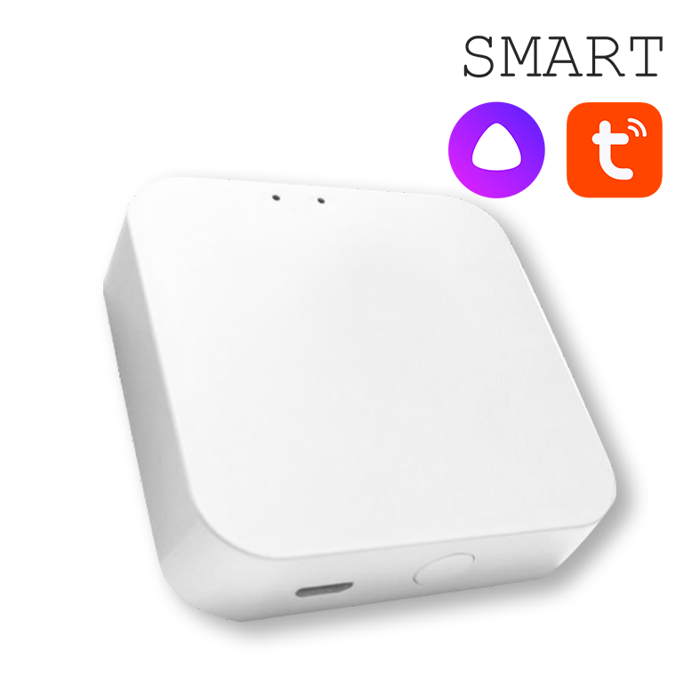Конвертер WI-FI для трековой системы EKS Colibri Smart 0У-00002005 в Санкт-Петербурге