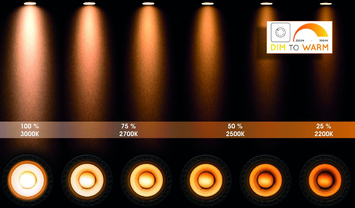 Спот Lucide Tala Led 31931/12/30 в Санкт-Петербурге