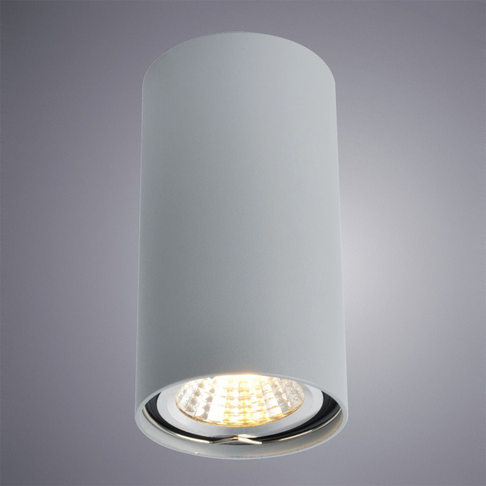 Потолочный светильник Arte Lamp A1516PL-1GY в Санкт-Петербурге