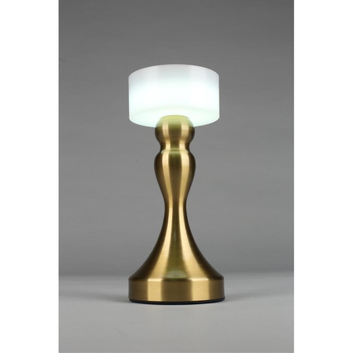 Настольная лампа Omnilux OML-40304-01 в Санкт-Петербурге