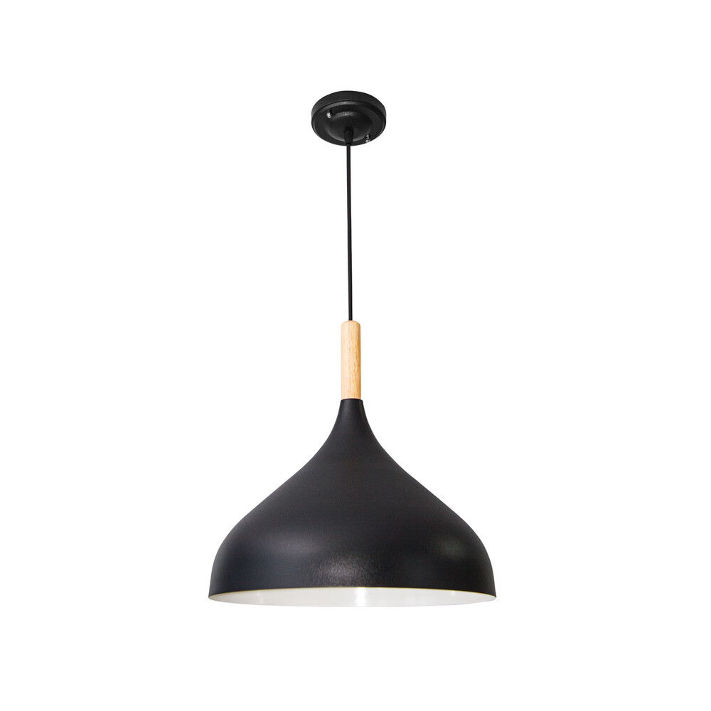 Подвесной светильник Arte Lamp Kayla A7101SP-1BK в Санкт-Петербурге