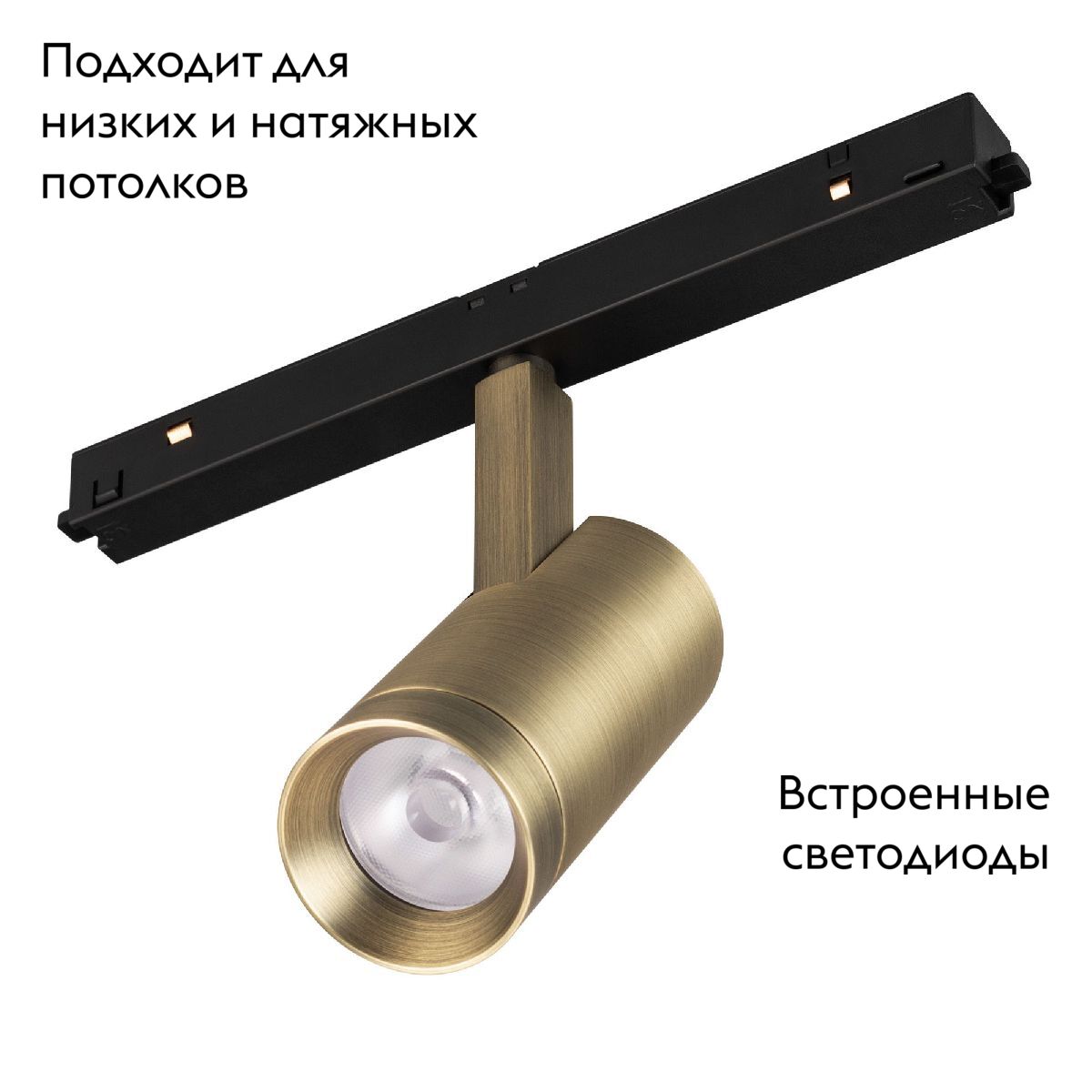 Трековый магнитный светильник Arlight MAG-ORIENT-SPOT-R45-12W Day4000 (BR, 24 deg, 48V) 042259 в #REGION_NAME_DECLINE_PP#