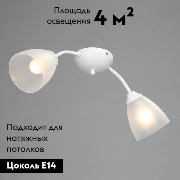 Потолочная люстра Vitaluce V3737-0/2PL в Санкт-Петербурге